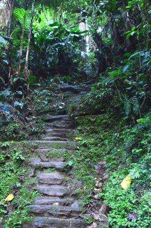 1200 marches, Ciudad Perdida